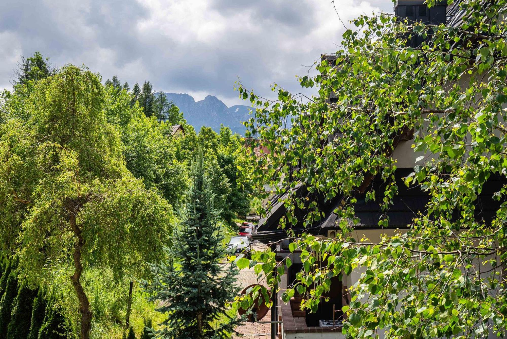 Apartamenty Smrekowa Tatry Zakopane Kültér fotó